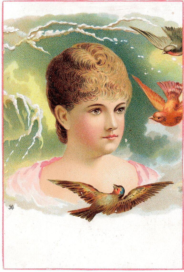 1890s Color Victorian Trade Card. Magic Yeast Cakes. E.W. Gillett, Chicago