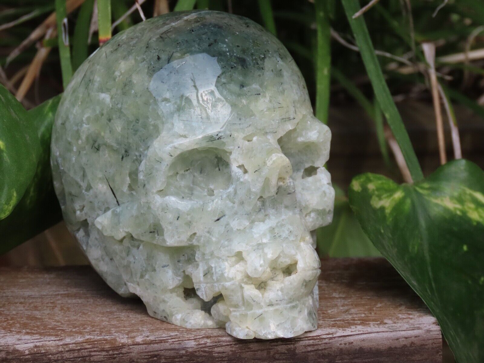 Unique Large Polished and Raw Prehnite Crystal Skull 750 Grams Collectors Piece