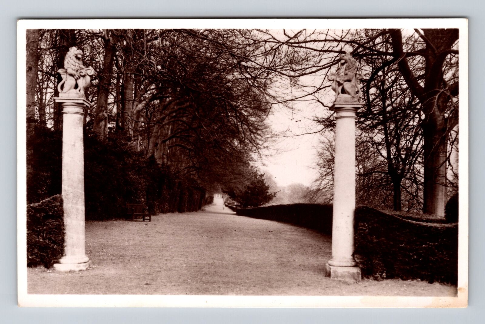 Dorking Surrey England, The Long Walk, Polesden Lacey, Antique Vintage Postcard