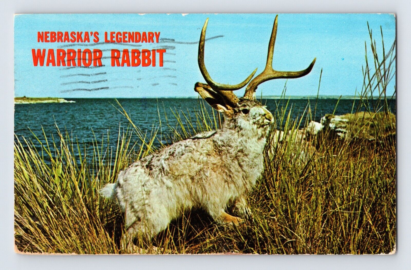 Postcard Nebraska Ogallala NE Warrior Rabbit Jackalope 1975 Posted Chrome
