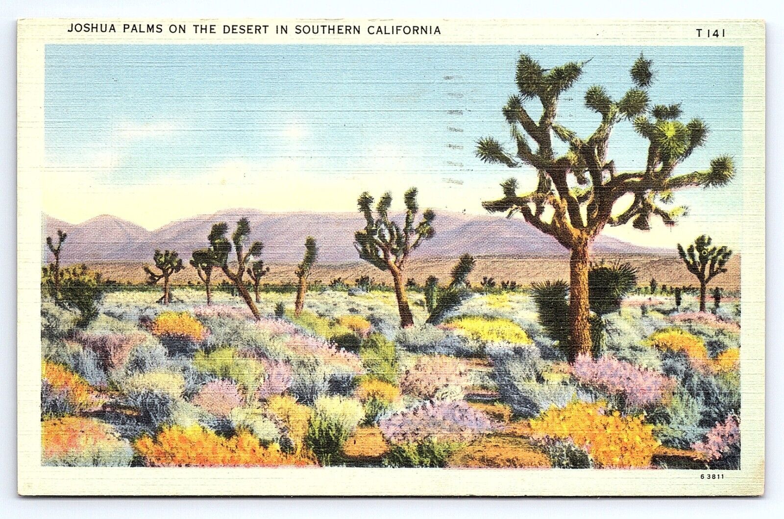 Postcard Joshua Palms Trees Southern California CA Posted Inglewood c.1942