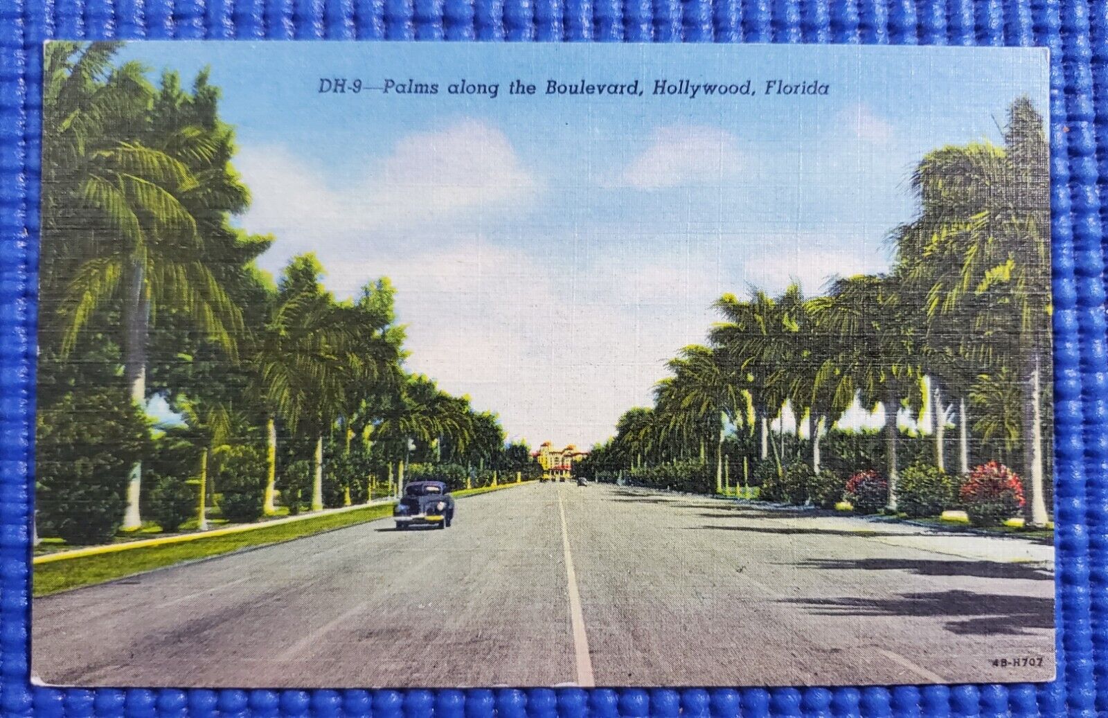 Vintage c1930 Palm Trees along the Boulevard Hollywood Florida FL Linen Postcard