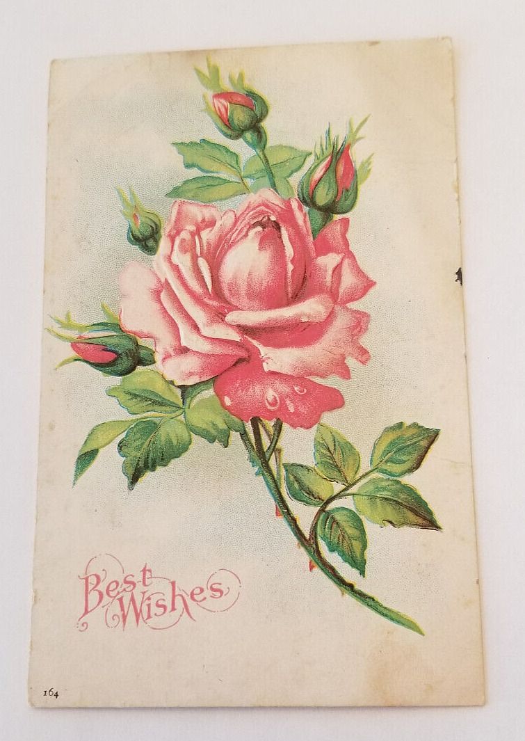c.1908 PC ANTIQUE POSTCARD BEST WISHES 164 PINK ROSE~Used~No Postage/Stamp