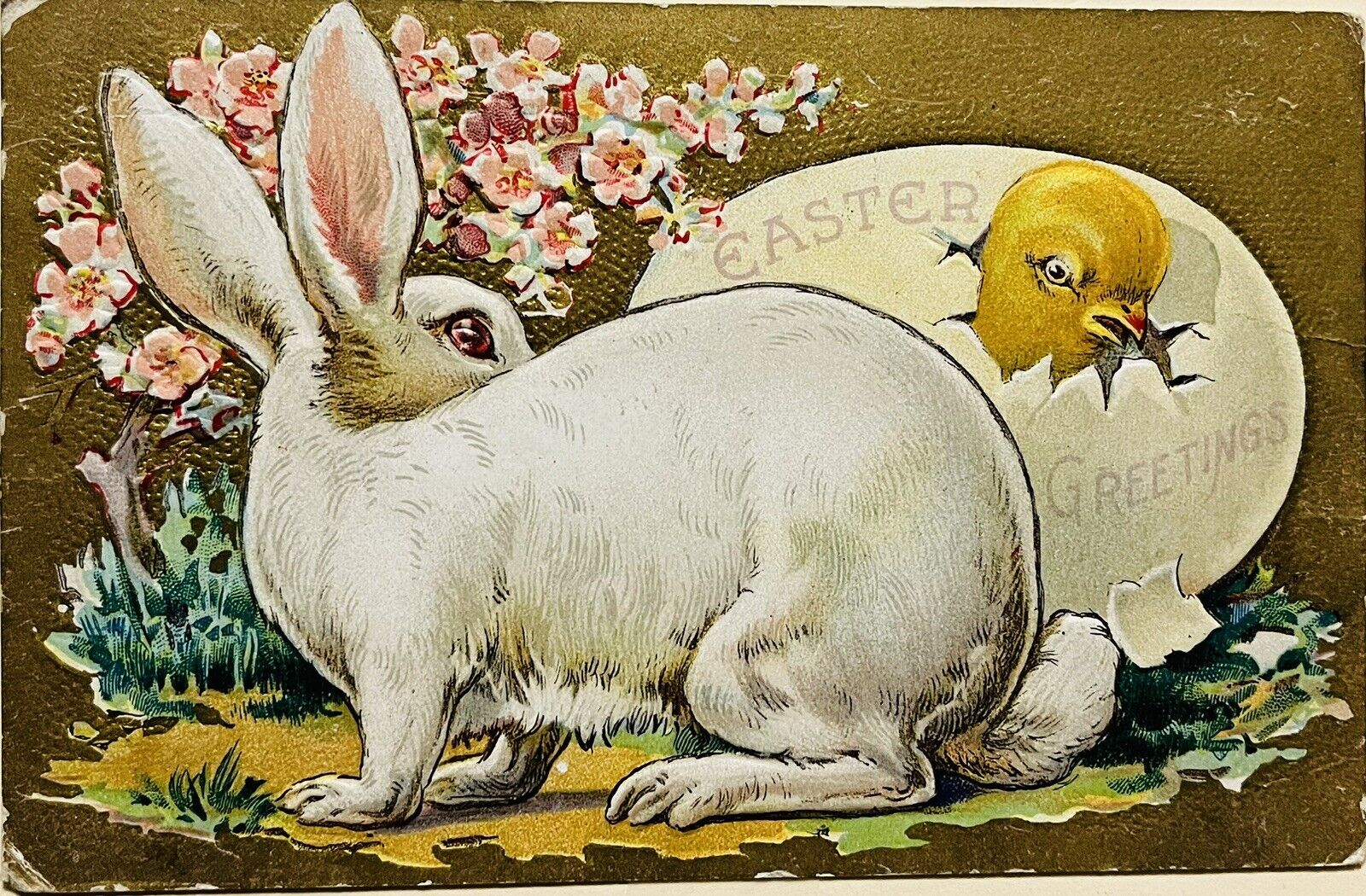 Antique Easter Postcard Huge White Rabbit Bunny Chick Cracked Egg Embossed c1910