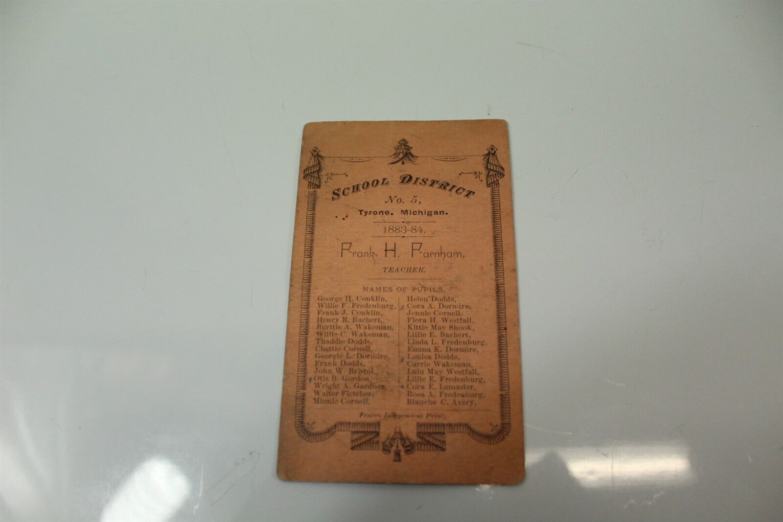 Antique School District Info Card District #5 Tyrone, MI 1883 & 1884