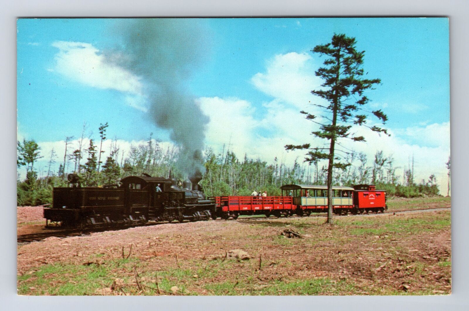 Cass Scenic Railroad, Train, Transportation, Antique, Vintage Postcard