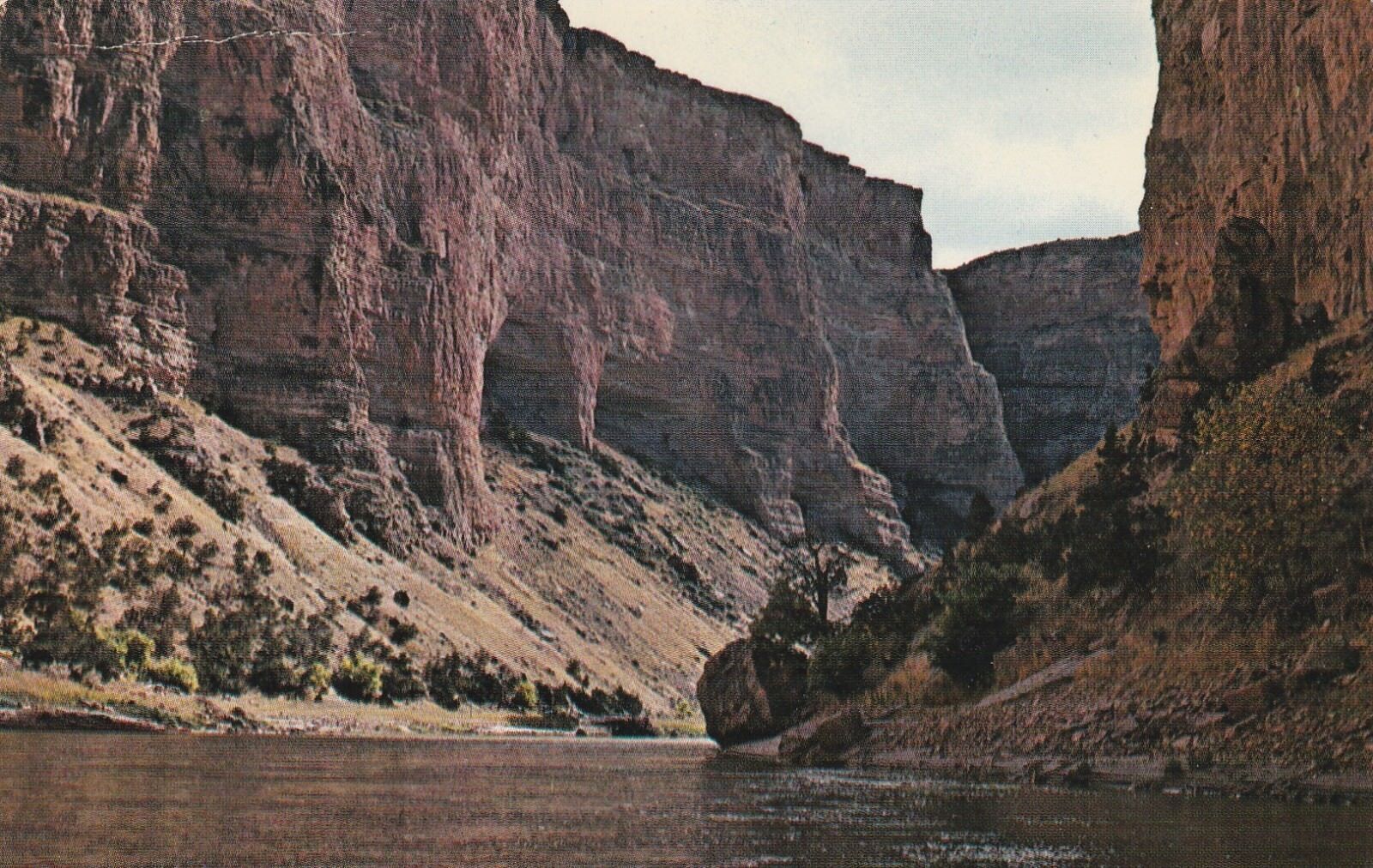 *Wyoming Postcard-\