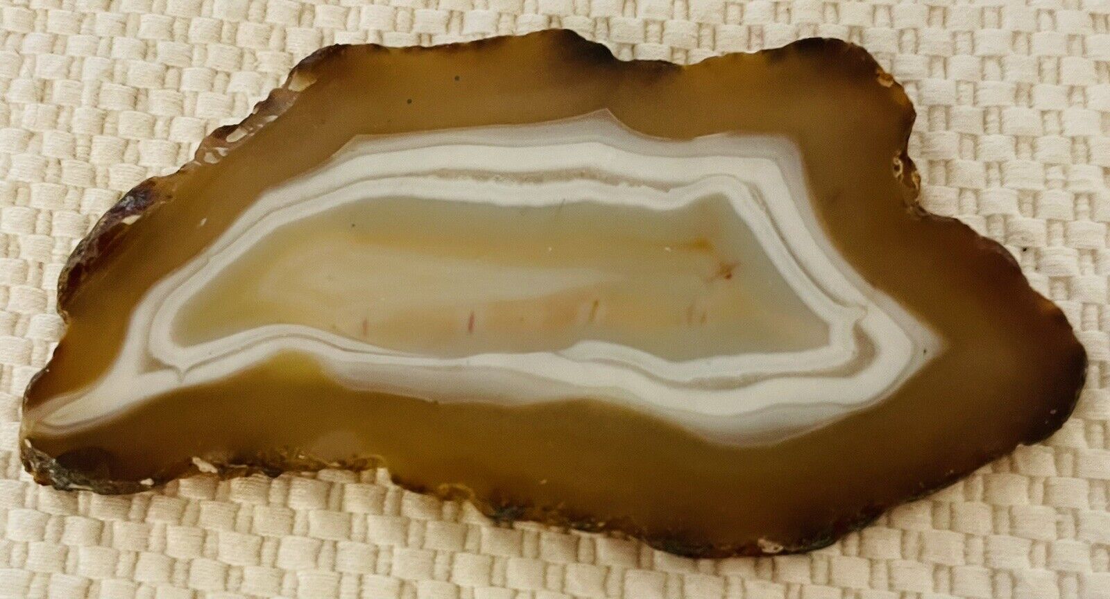Agate Slice Natural Brown White Slice 98g