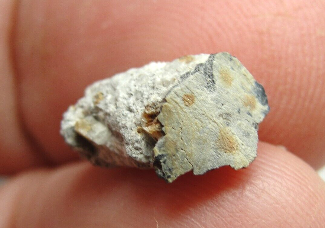 Norton County - Achondrite Aubrite Meteorite - NC-0679 - 0.98g - UNM Prov/CRUST
