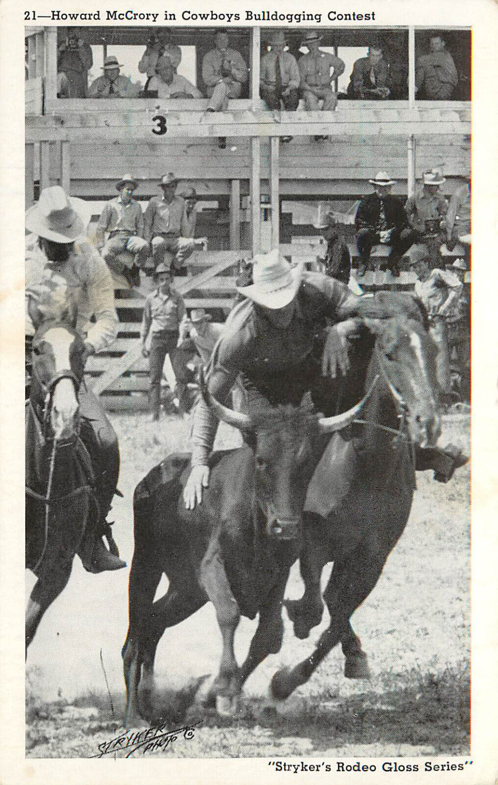 Stryker\'s Rodeo Gloss Series Postcard 21 Howard McCrory Cowboys Bulldogging