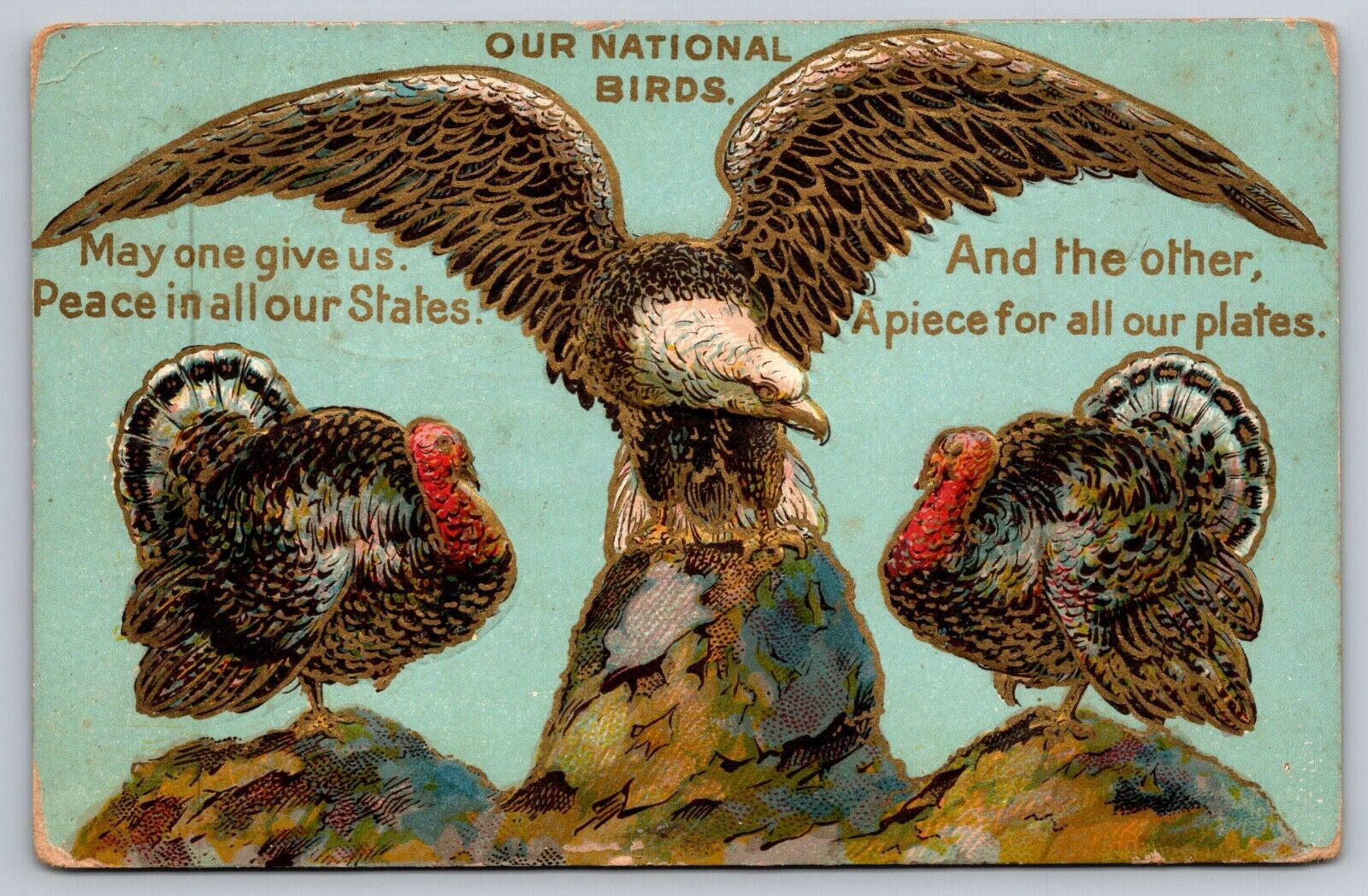 Our National Birds Thanksgiving Turkey American Bald Eagle Postcard Winsch Back
