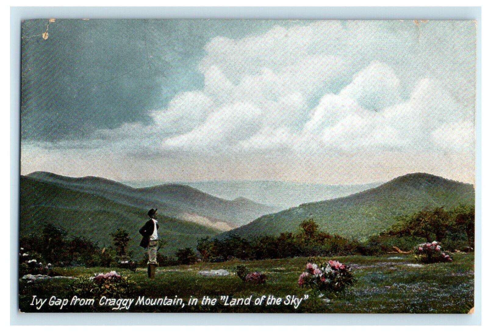 c1905 Ivy Gap From Craggy Mountain In The Land Of The Sky Antique Postcard