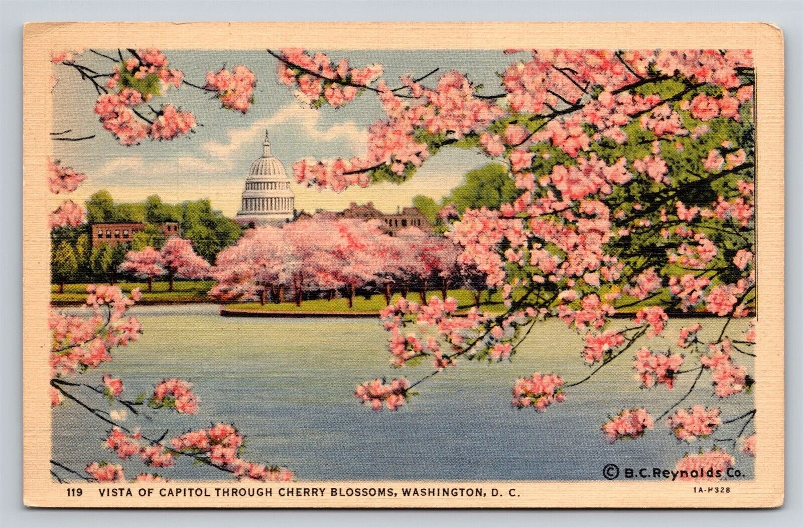 Washington DC Capitol Building Through Cherry Blossoms Vtg Postcard View 1930s