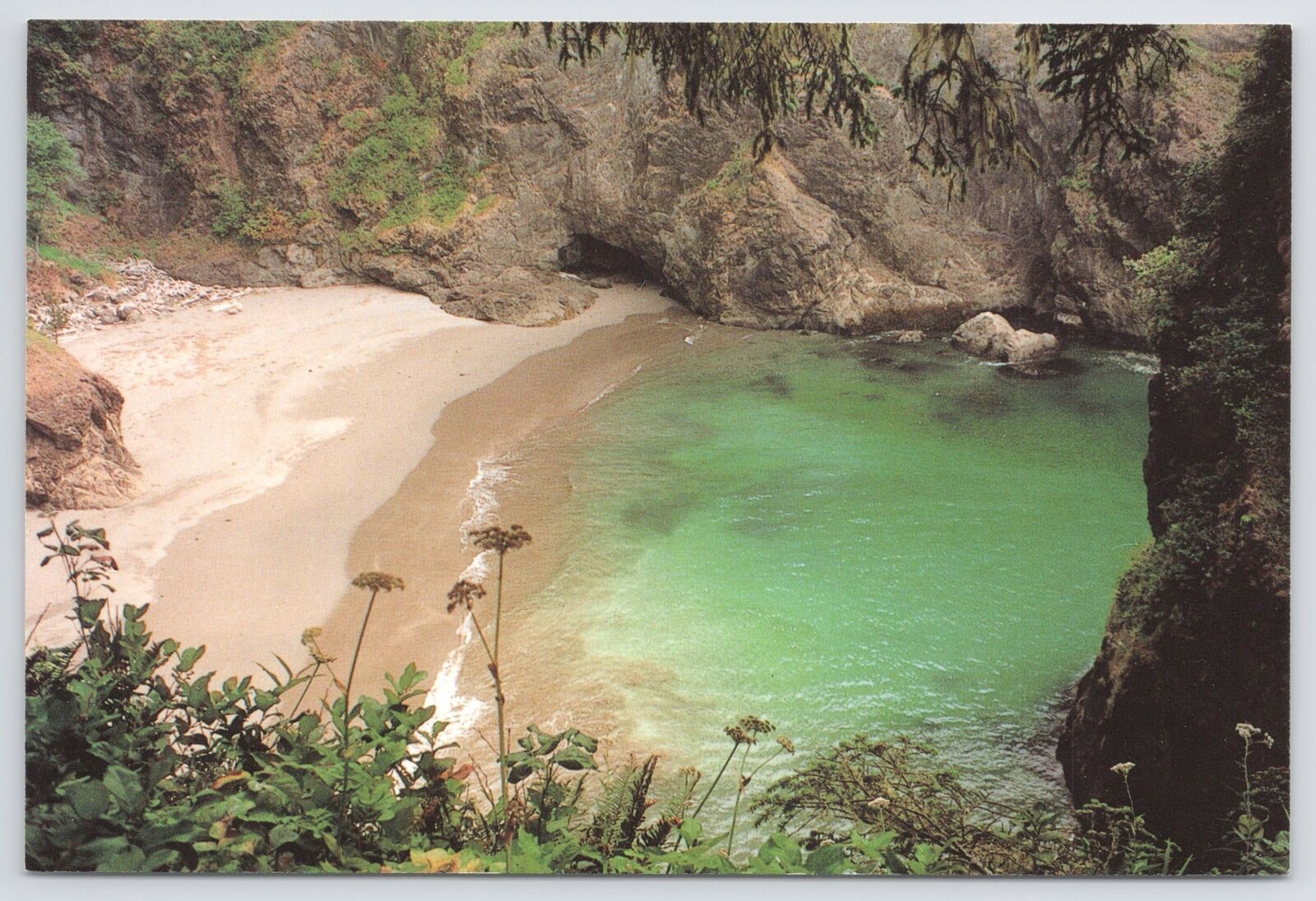 Brookings OR~Thunder Rock Cove On The Southern Oregon Coast~Continental Postcard