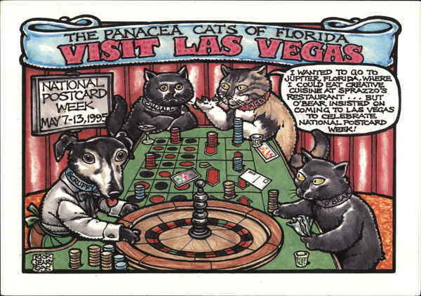 The Panacea Cats of Florida Visit Las Vegas,National Postcard Week 1995 Vintage