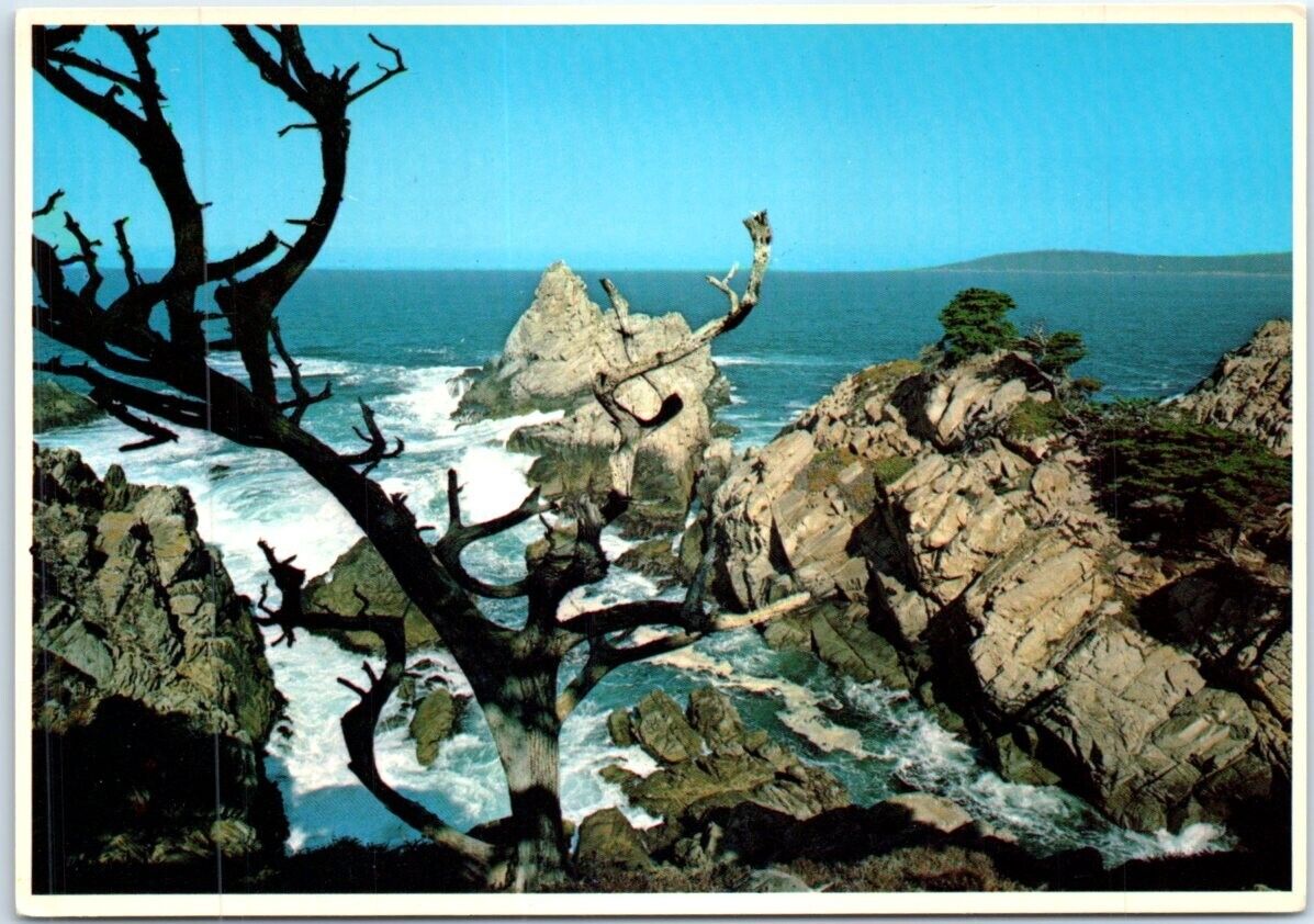 Postcard - Cypress Cove, Point Lobos State Reserve - Carmel, California