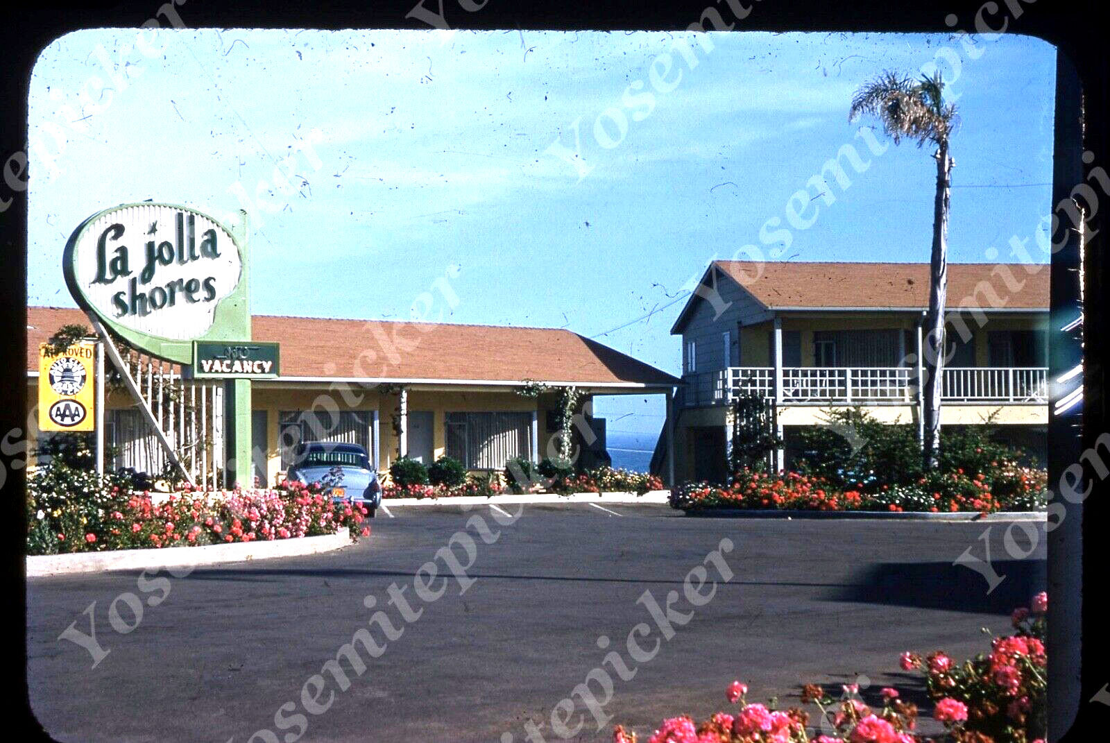 Sl87 Original Slide 1950's La Jolla Shores California Motel car 261a