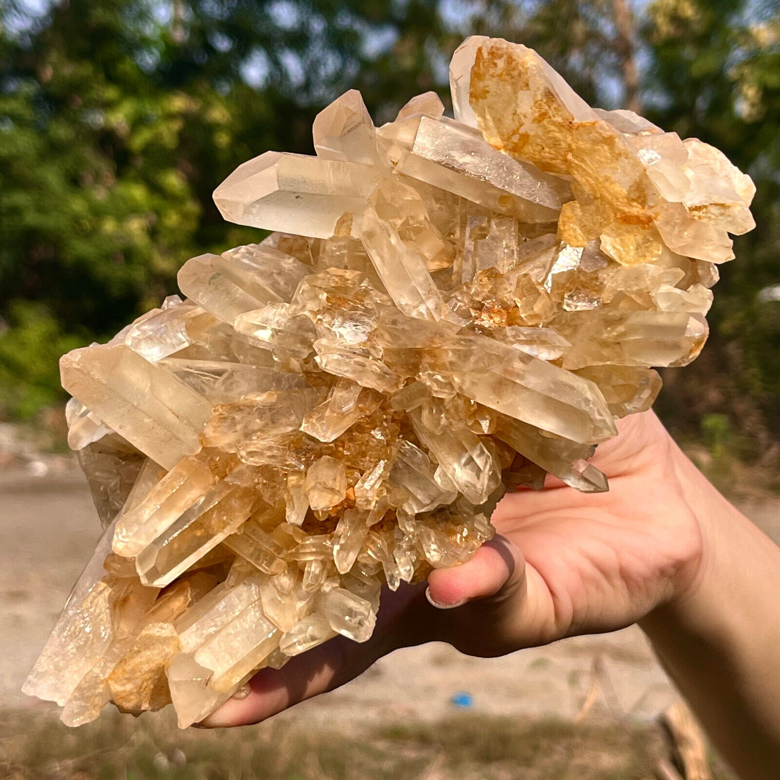 1.46LB Natural white crystal Himalayan quartz cluster/mineral