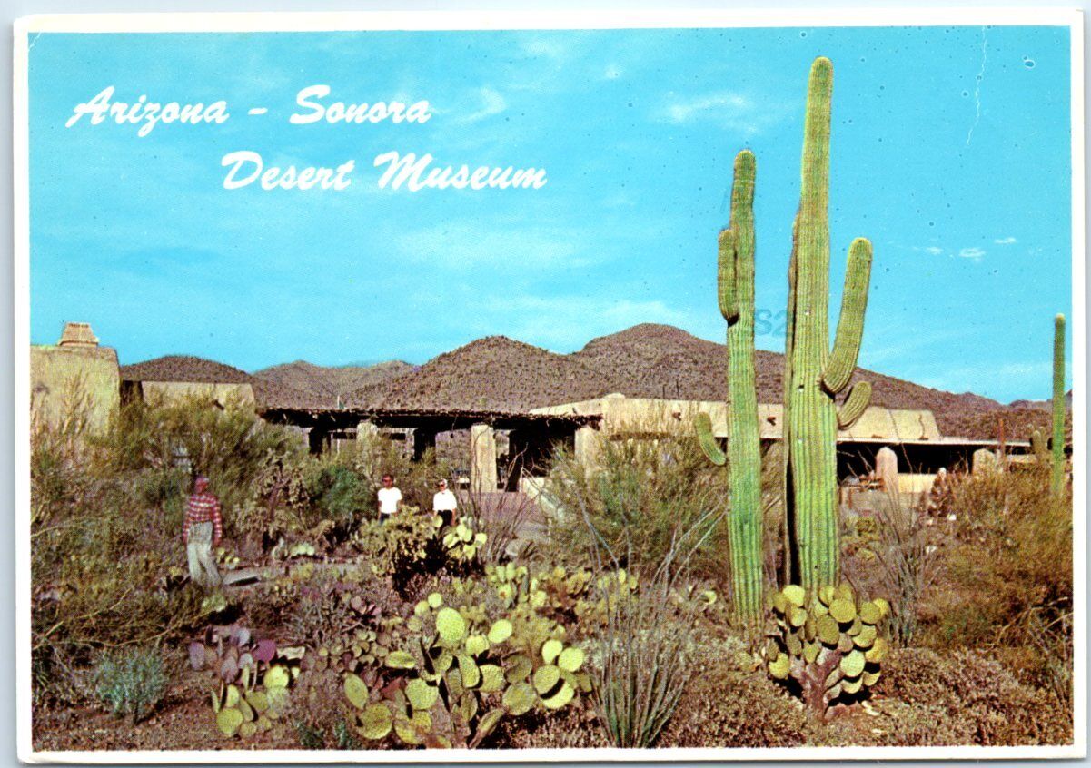 Postcard - Arizona-Sonora Desert Museum in Tucson Mountain Park - Arizona
