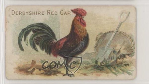 1907 Philadelphia Caramel Zoo Chickens E31 Derbyshire Red Cap z6d