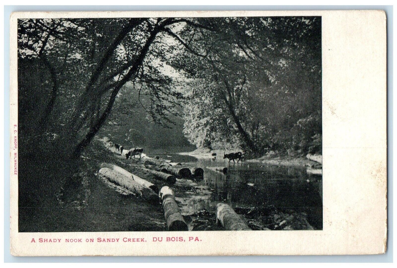 1904 Shady Nook Sandy Creek Logs Du Bois Pennsylvania PA Posted Vintage Postcard