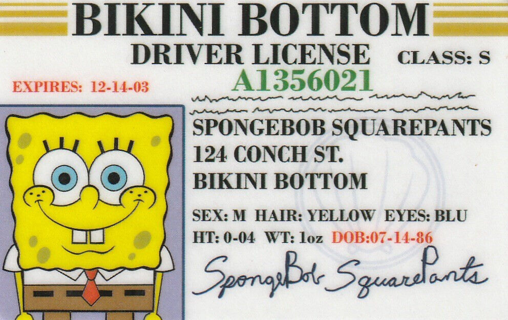 Bikini Bottom Under the Sea Pineapple Animated CArtoon Show card Drivers License