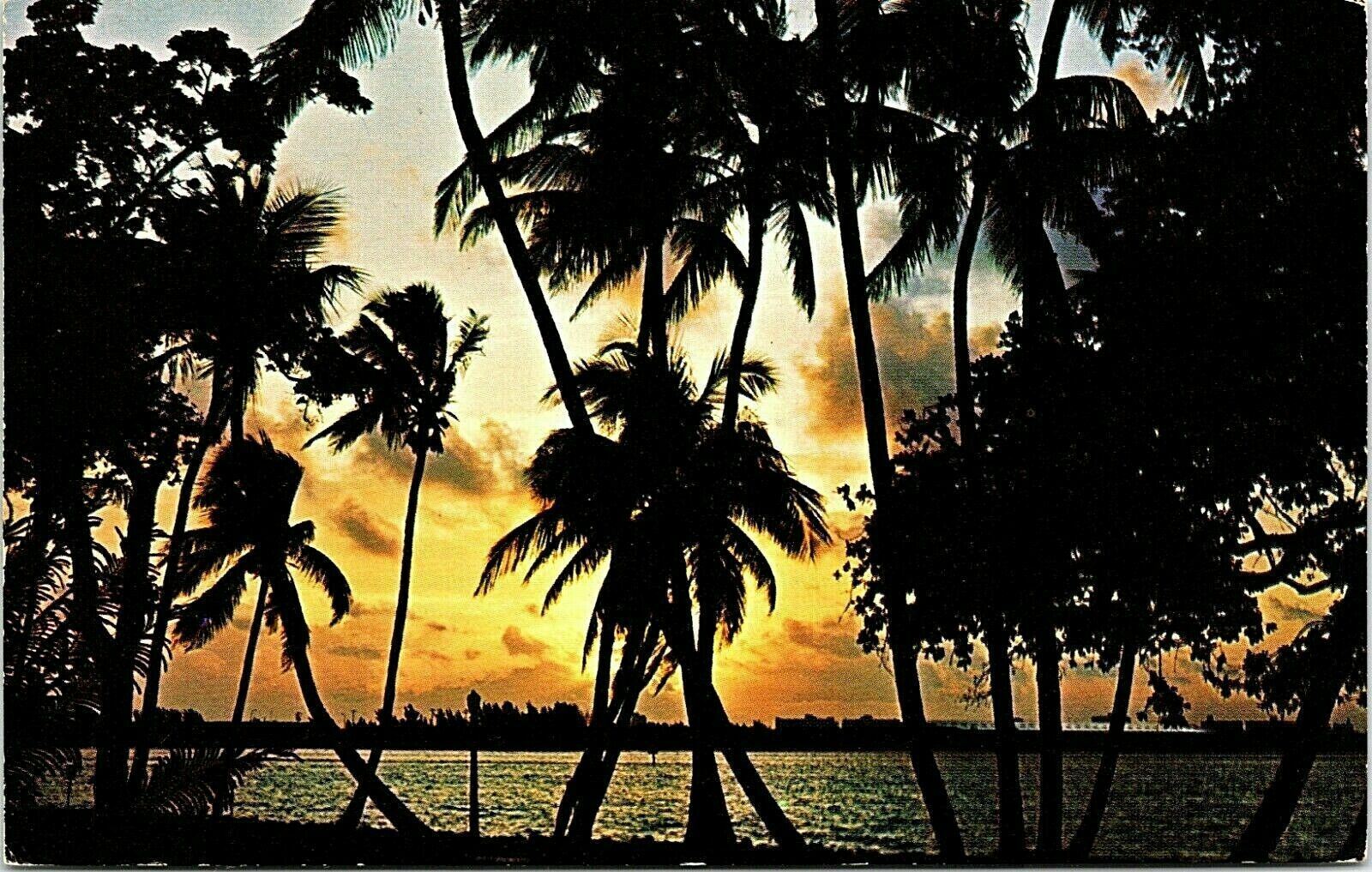 Florida Sunset 1975