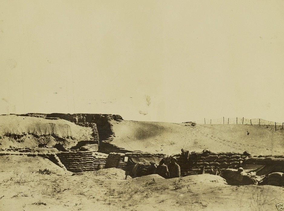 British Expeditionary Force Egypt Gaza Trenches 1917 8x10 World War I WW1 Photo