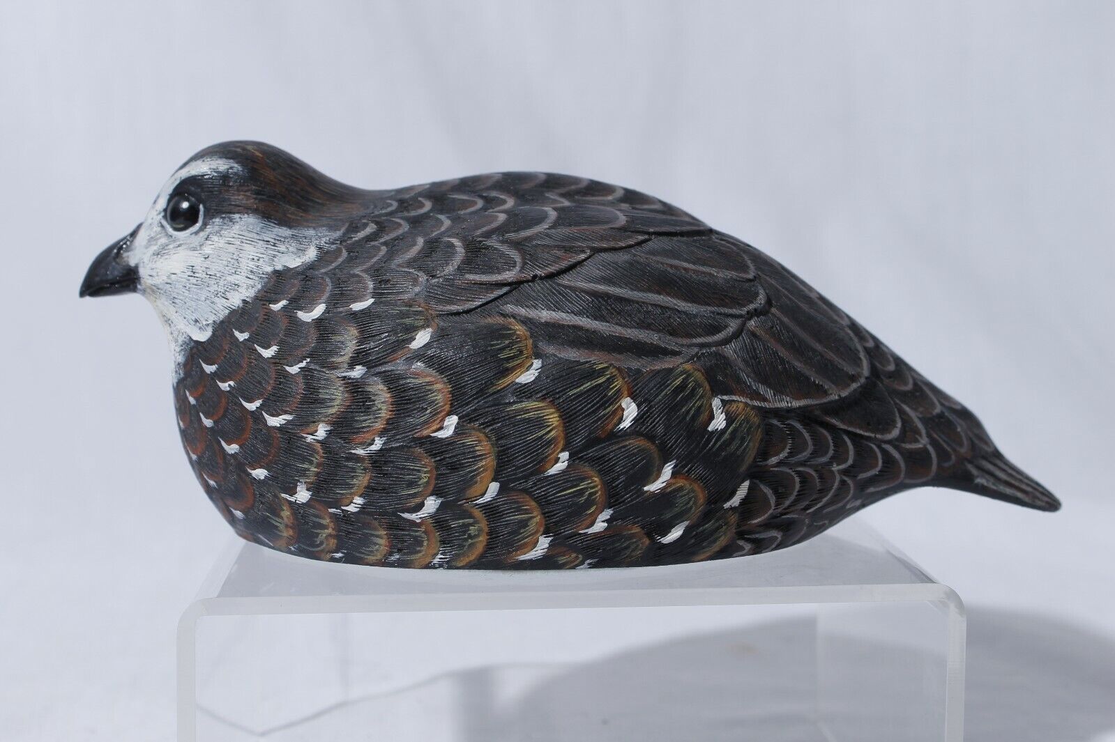 Northern Bobwhite Virginia Quail Duck Decoy Bird Figurine 7\