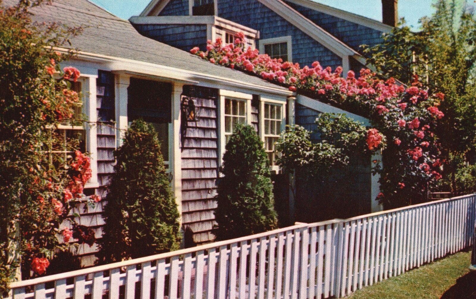 Vintage Postcard Rose Covered Cottage Flower Vines Fenced Natucket Massachusetts