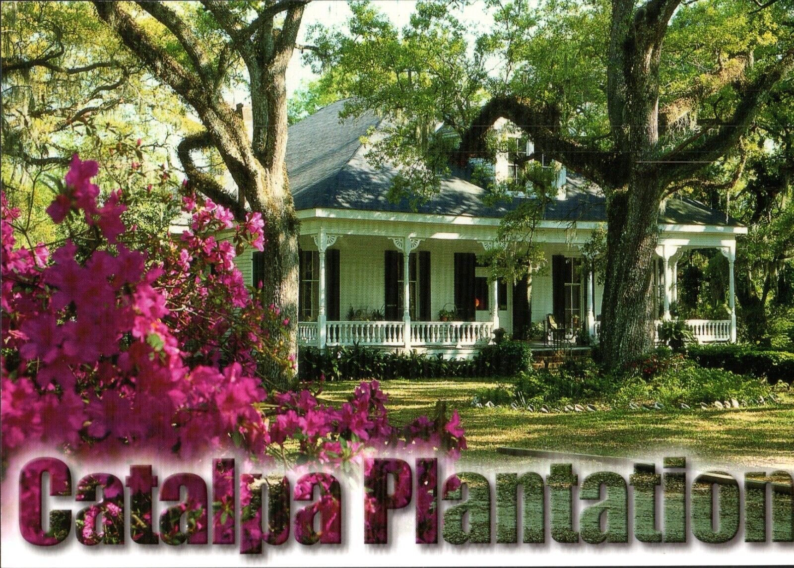 Unposted Lot of 4 Catalpa Plantation Postcards VTG Louisiana Litho