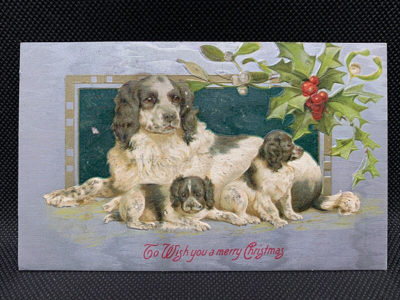 Antique Christmas Postcard - Springer Spaniel Dogs