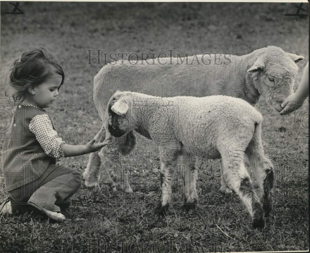 1974 Press Photo Charlotte pets sheep at Pontchartrain Beach Children\'s Hour