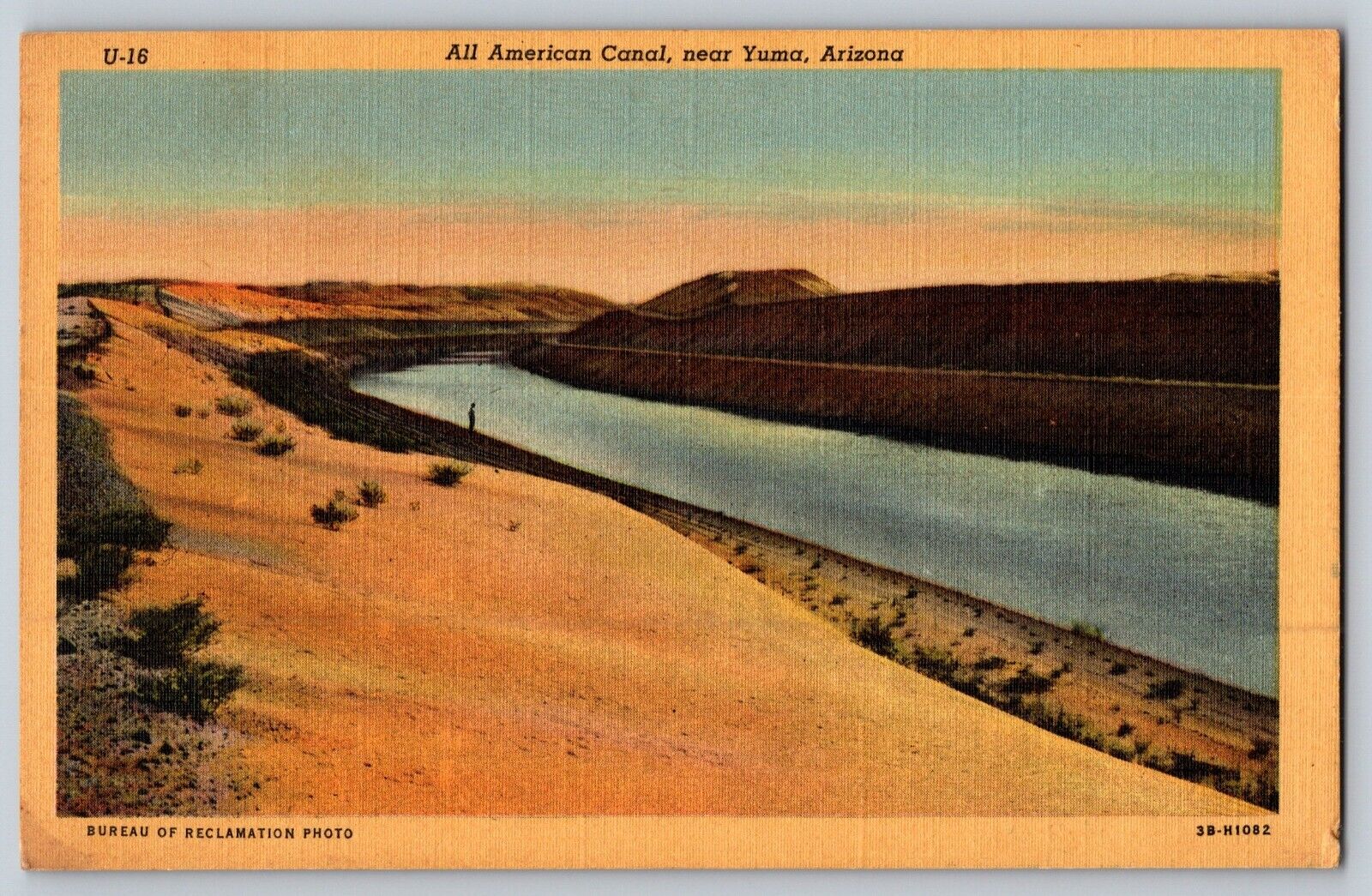 All American Canal near Yuma Arizona AZ UNP 1943 Vintage Postcard