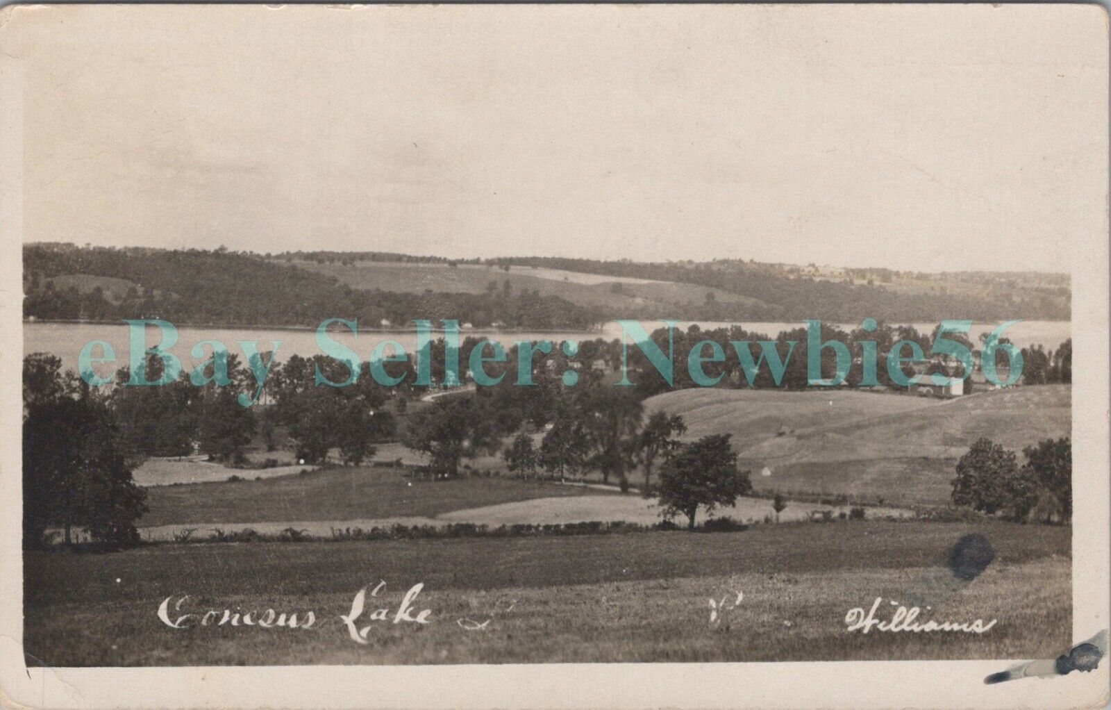 Conesus Lake NY - COTTAGES & FARM FIELDS - RPPC Postcard Williams Lakeville