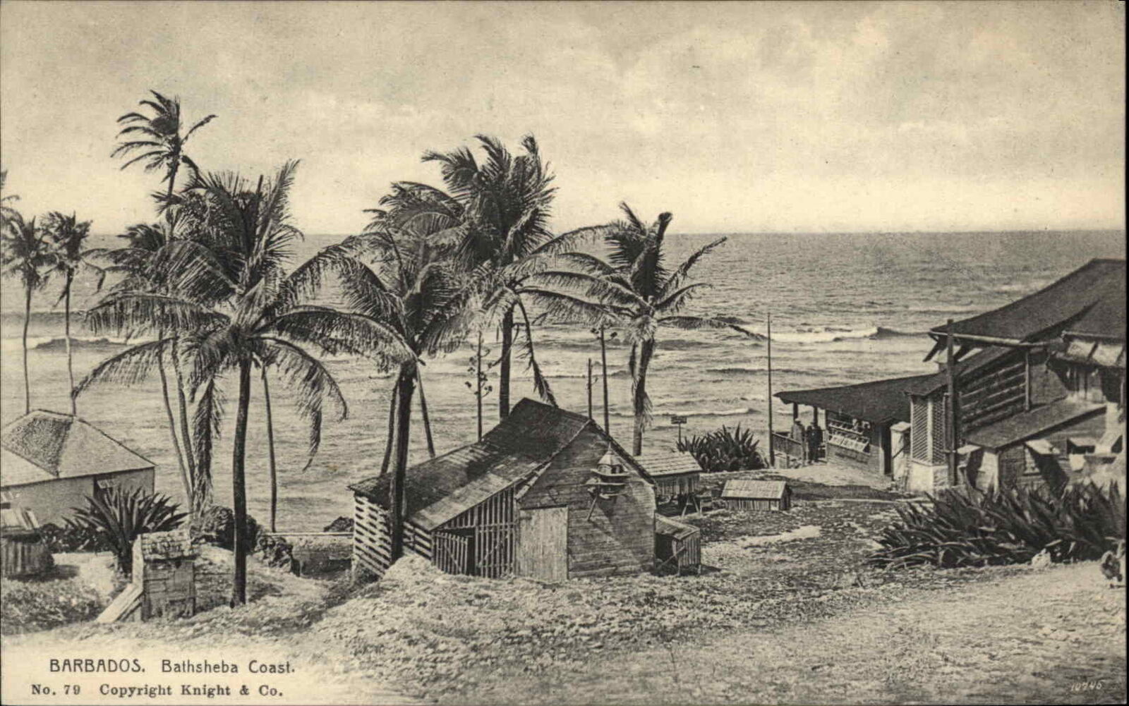 Vintage Postcard Barbados Bathsheba Coast Huts Beach