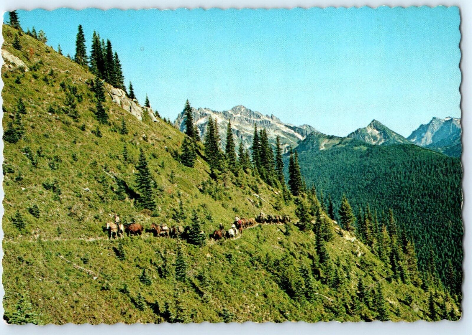 Trail Riding In The Rugged Mountains Of Western Washington WA Unposted Postcard