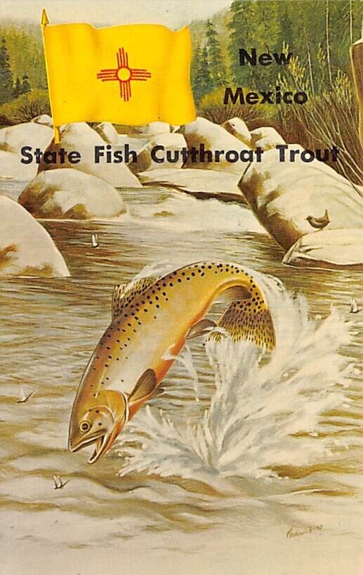Postcard NM: New Mexico State Fish, Cutthroat Trout, Flag, 1967
