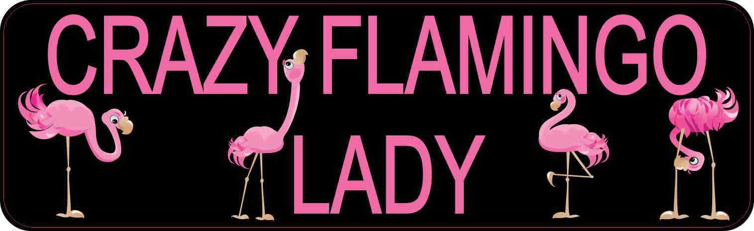 10in x 3in Crazy Flamingo Lady Magnet Car Truck Vehicle Magnetic Sign