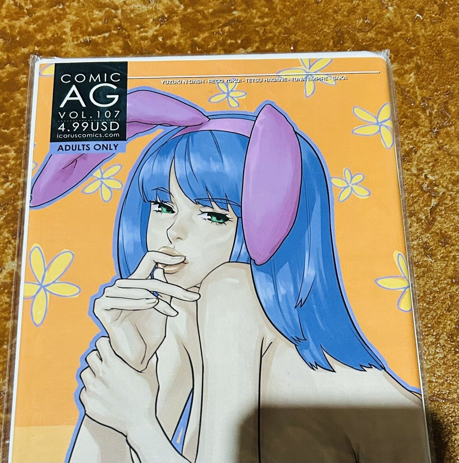 Rare AG Manga Volume 107 Japanese Art Book Comic
