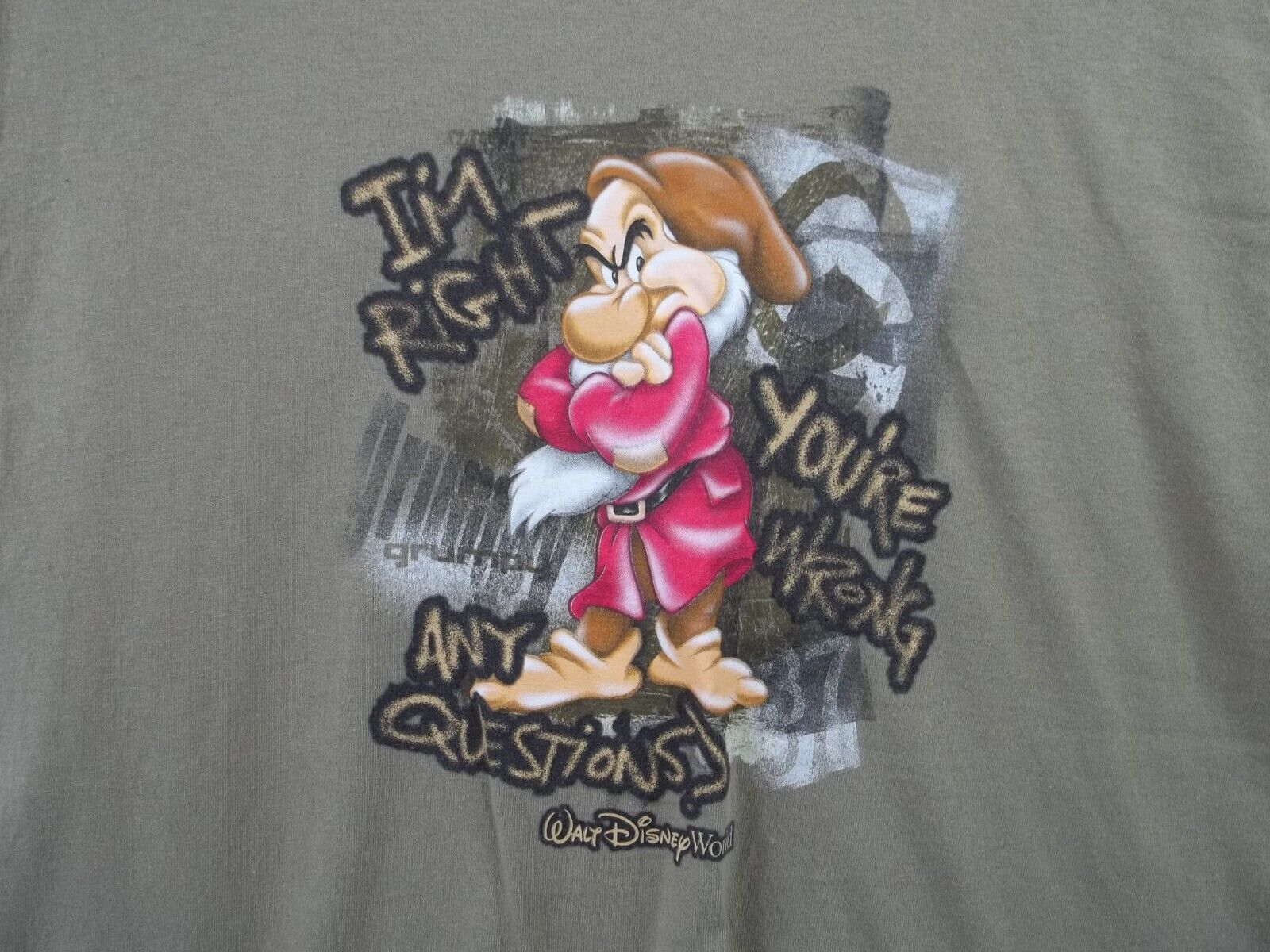 Walt Disney World Grumpy Adult size M Olive Green T-Shirt