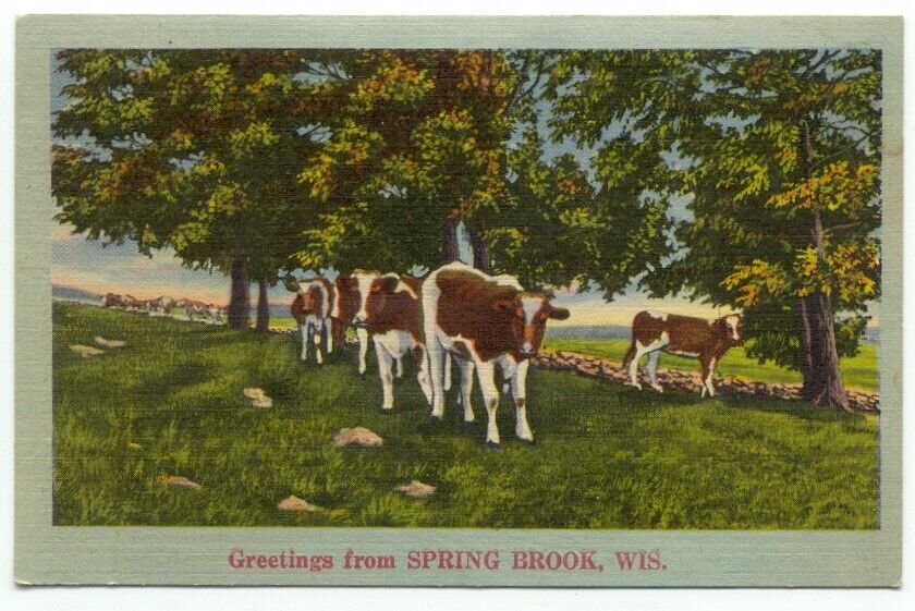 Greetings From Spring Brook WI Cows Linen Postcard Wisconsin