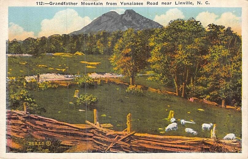 Postcard NC: Grandfather Mountain, Yonalasee Road, Linville, North Carolina, WB