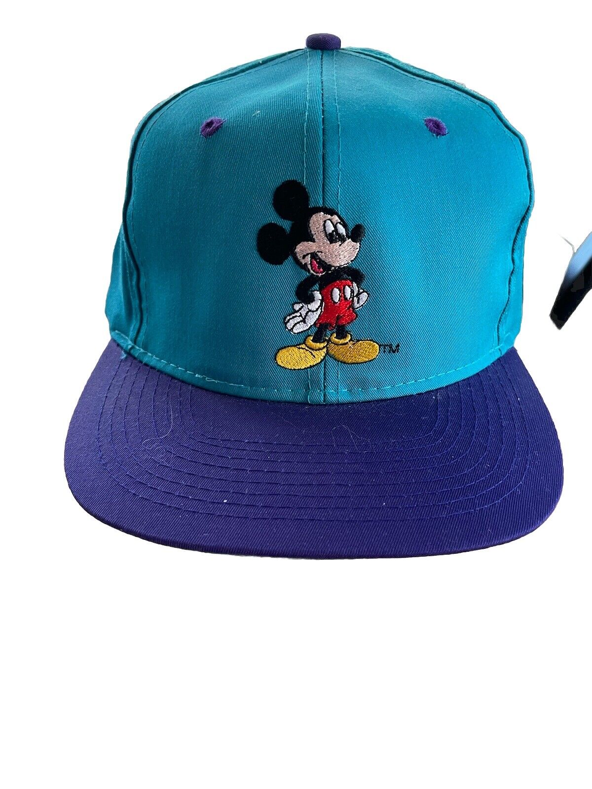 NWT Vintage Disney MickeyMouse Snapback Hat 90s Mickey Unlimited Teal Purple Cap