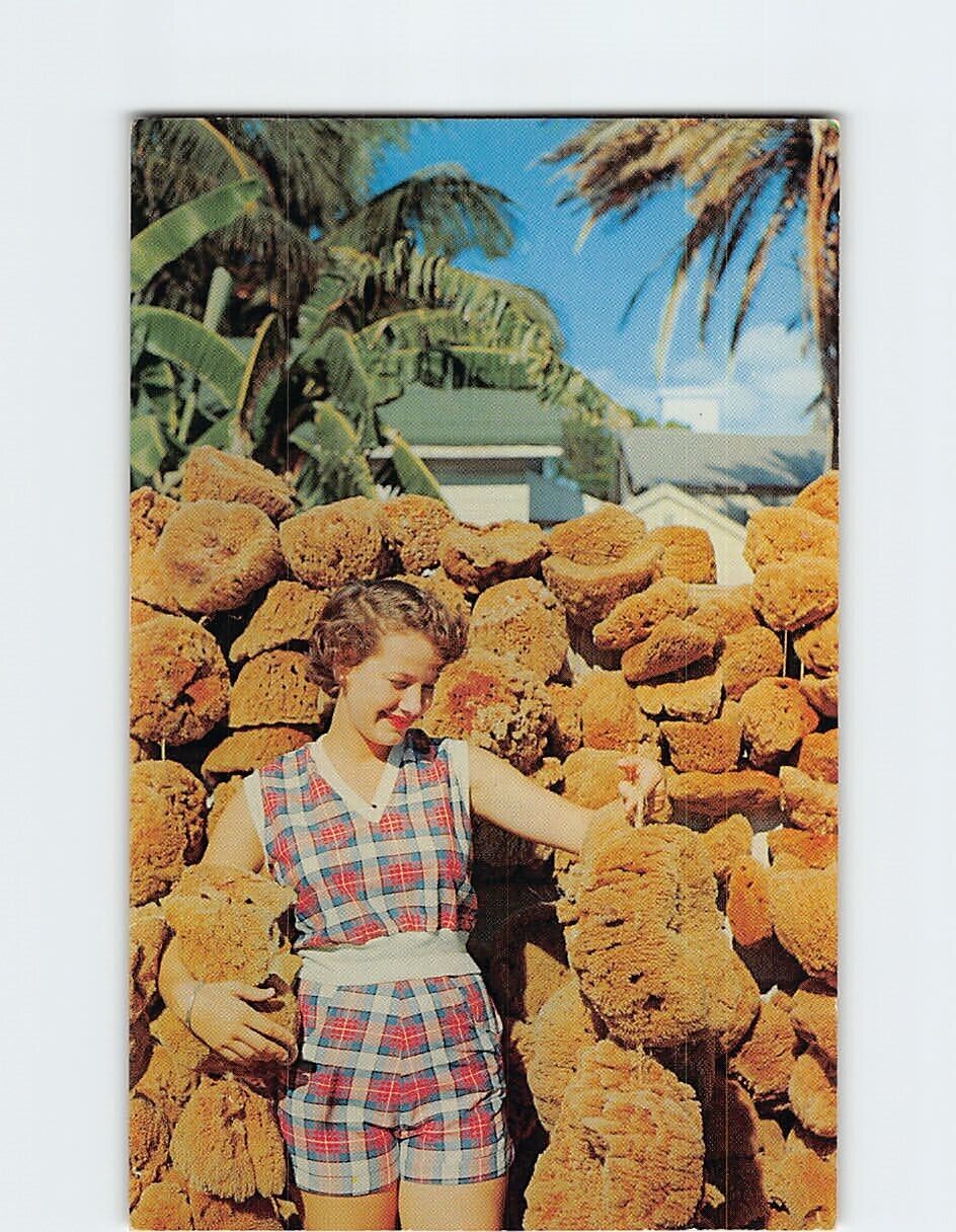 Postcard Sponges in Key West, Florida