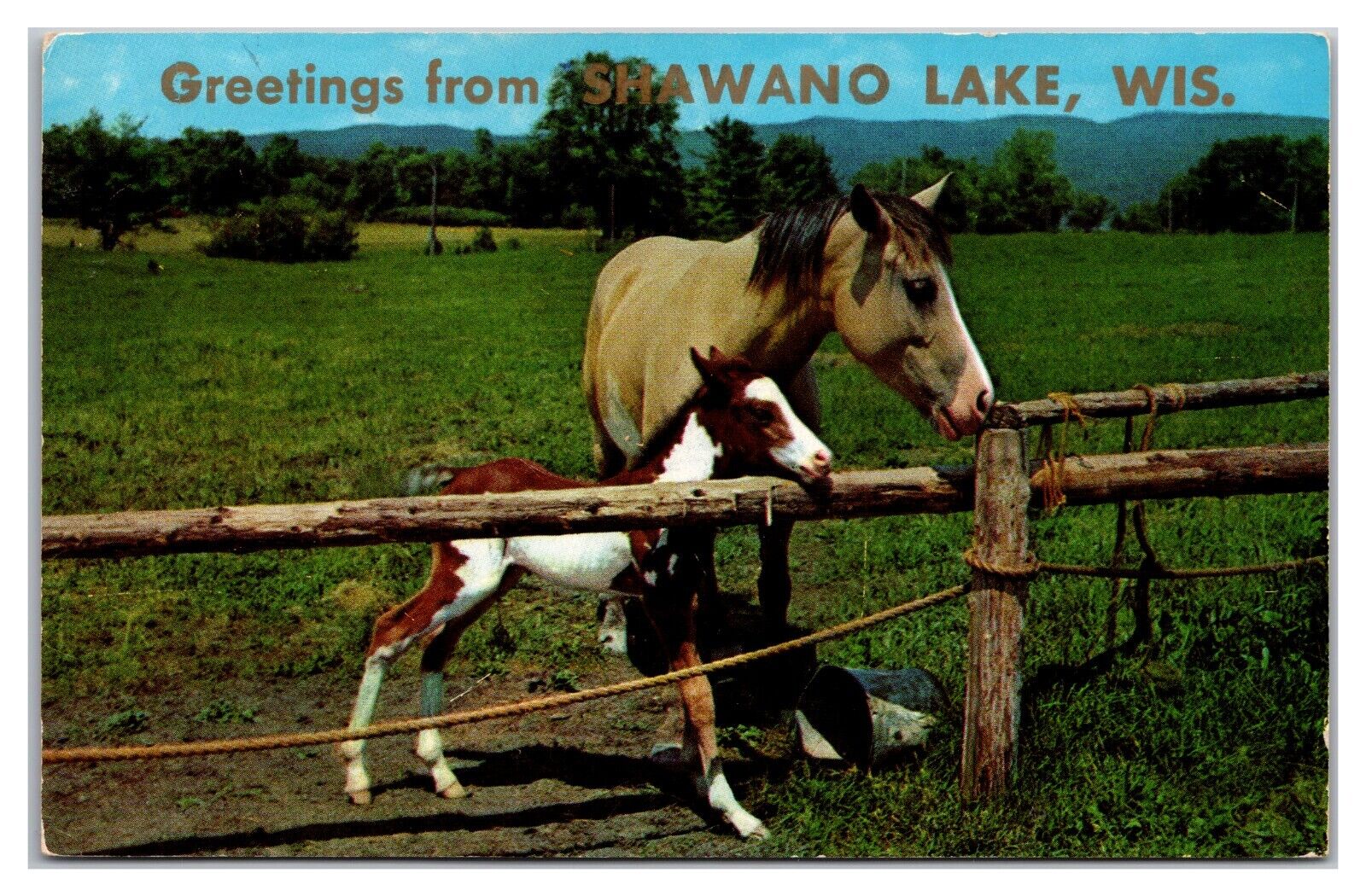 Greetings From Shawano Lake, Wisconsin
