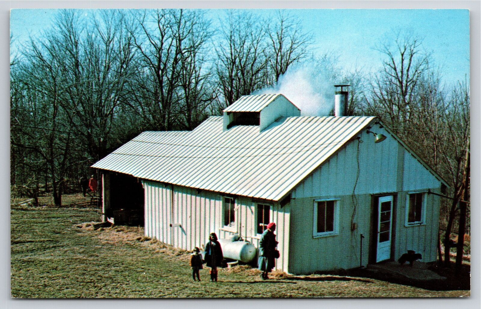Parke County Indiana~Air View Building @ Maple Fair~Vintage Postcard