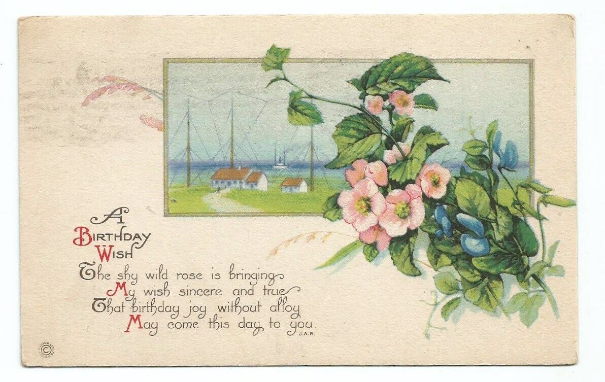 Birthday Greeting Postcard Flowers Scenic c1910 BUFFALO NY