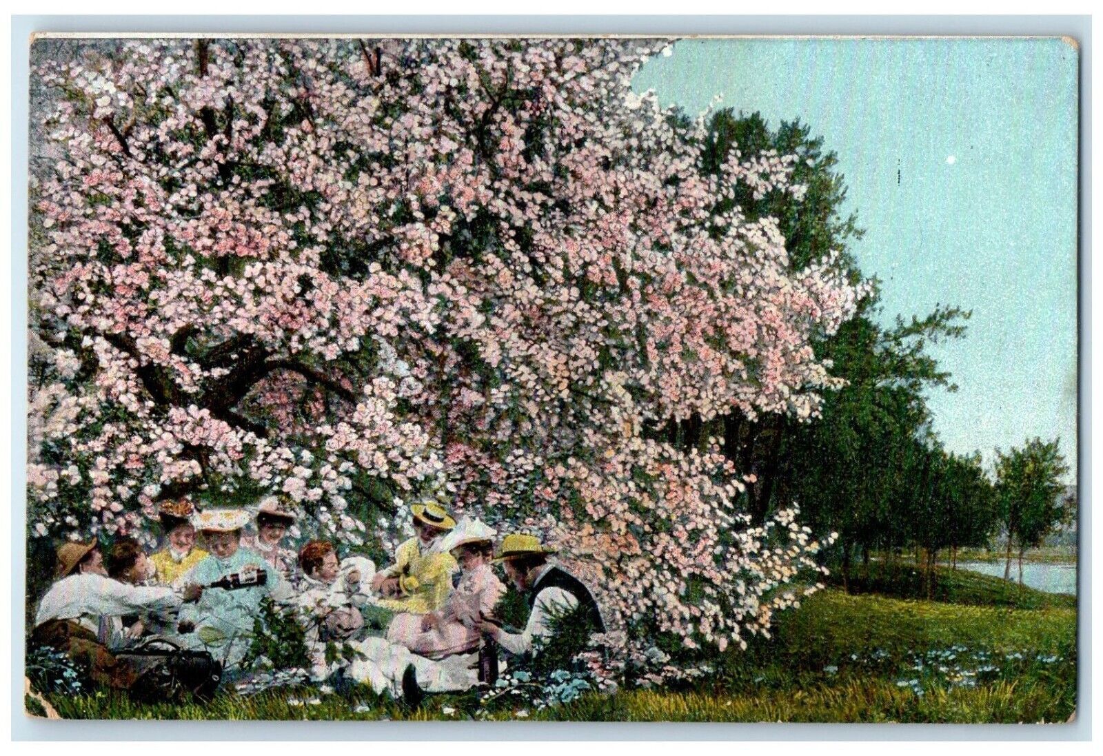 c1910\'s Family Picnic Cherry Blossom Oneida Castle New York NY Antique Postcard