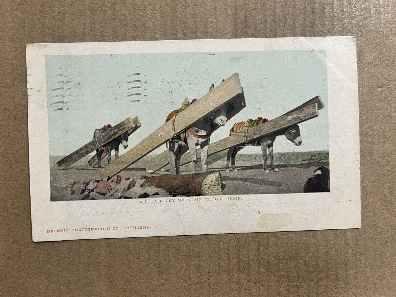 Postcard Rocky Mountain Freight Train Donkeys Posted Denver CO Colorado 1904 UDB